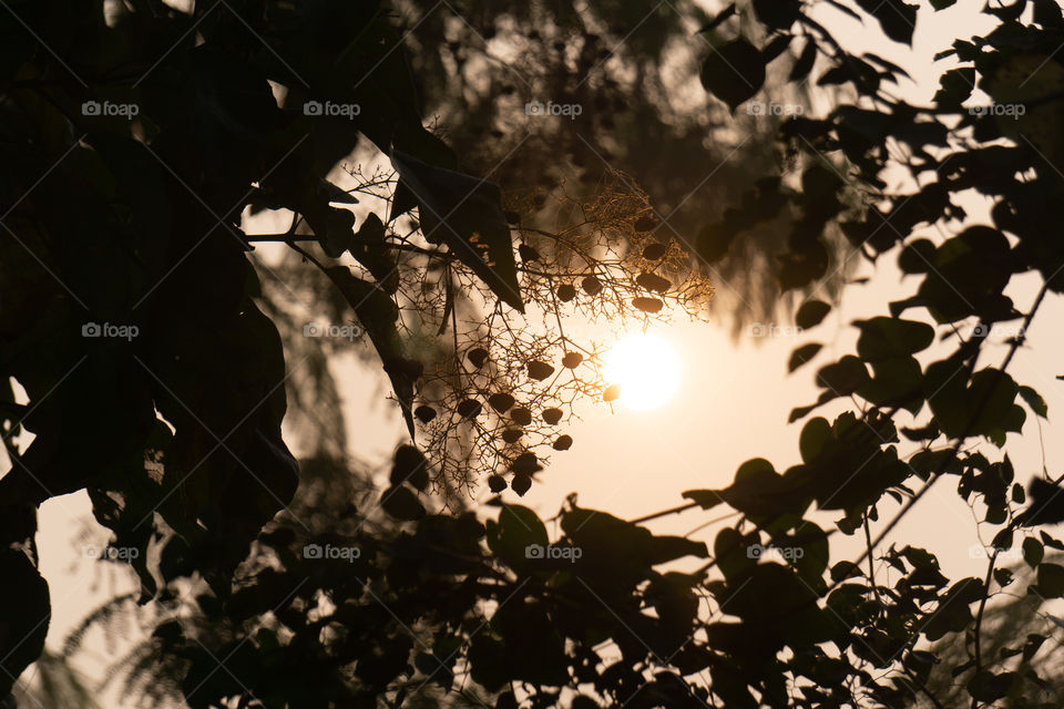 Nature is so beautifull capture it because every moment nature is changed