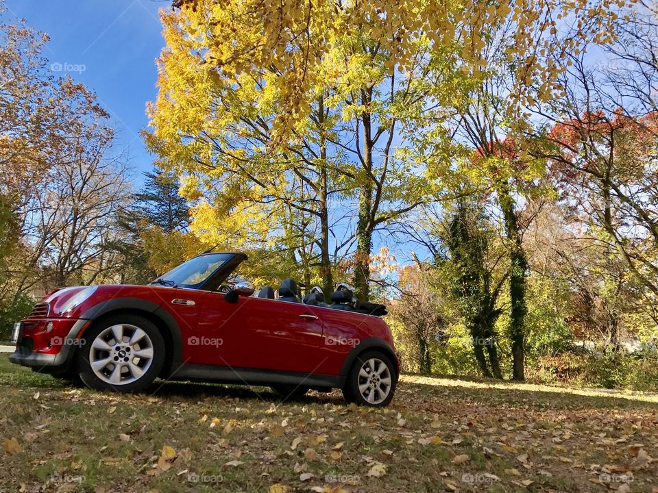 MINI Cooper S in Autumn 