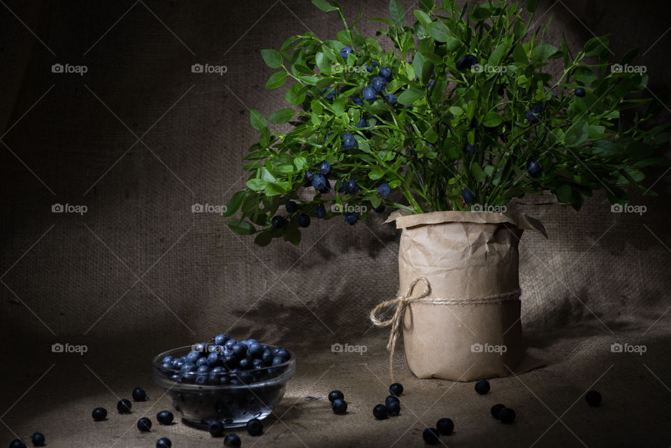 bunch of blueberry branches and bowl with blueberries on sack background, light brush still life