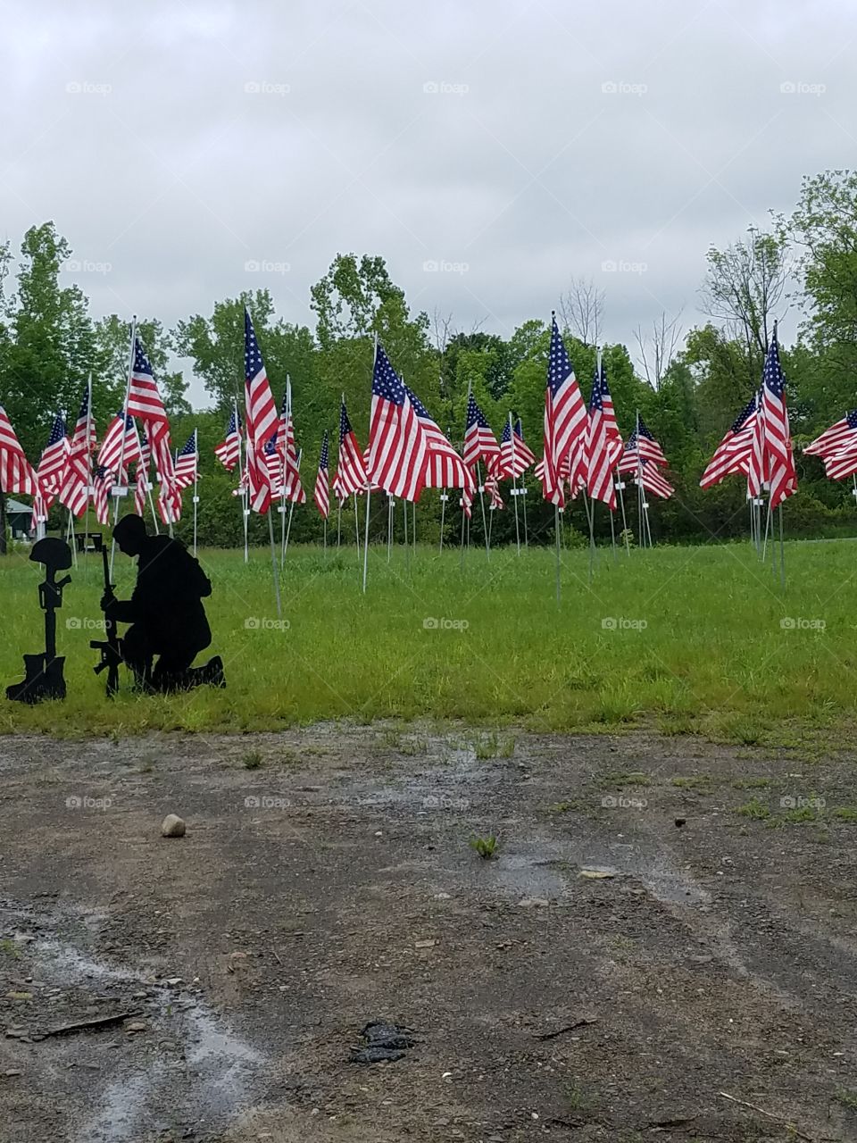 Field Of Flags