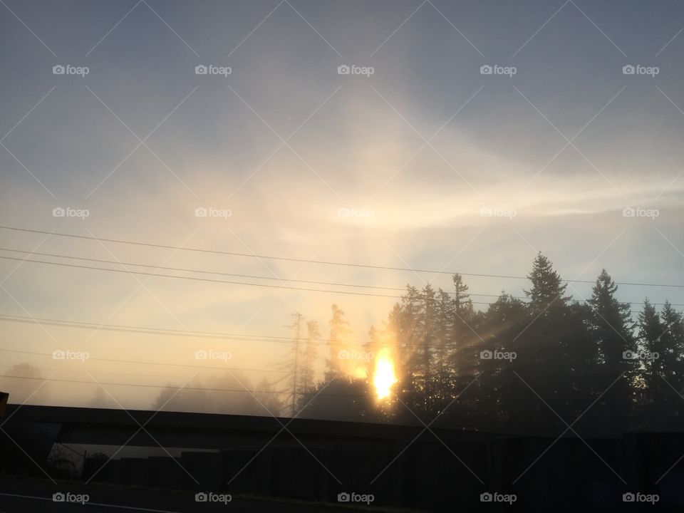 Foggy sunrise