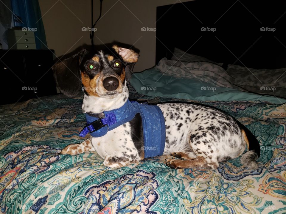 Yeah, Mom i heard you the first time!