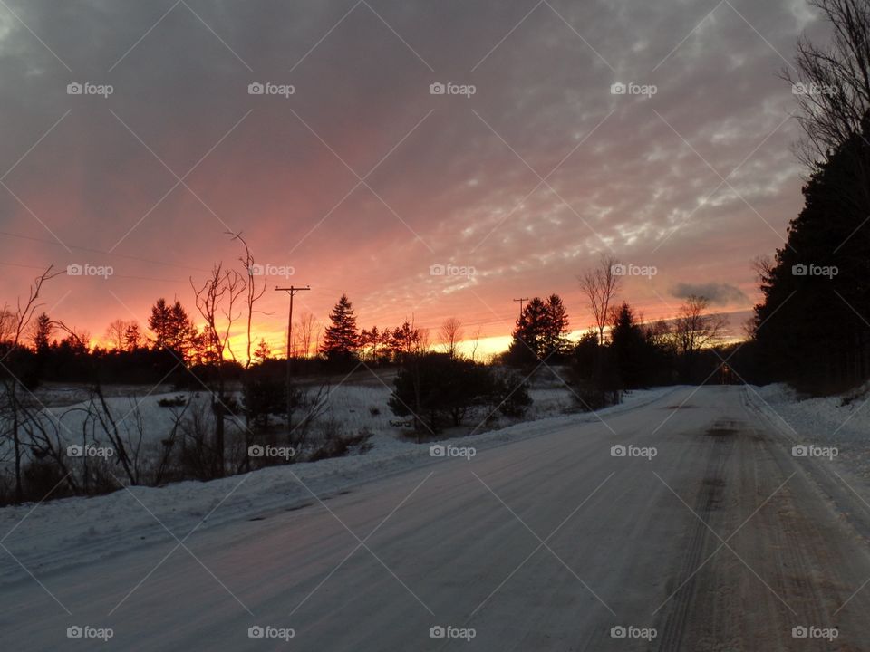 Northern Michigan 