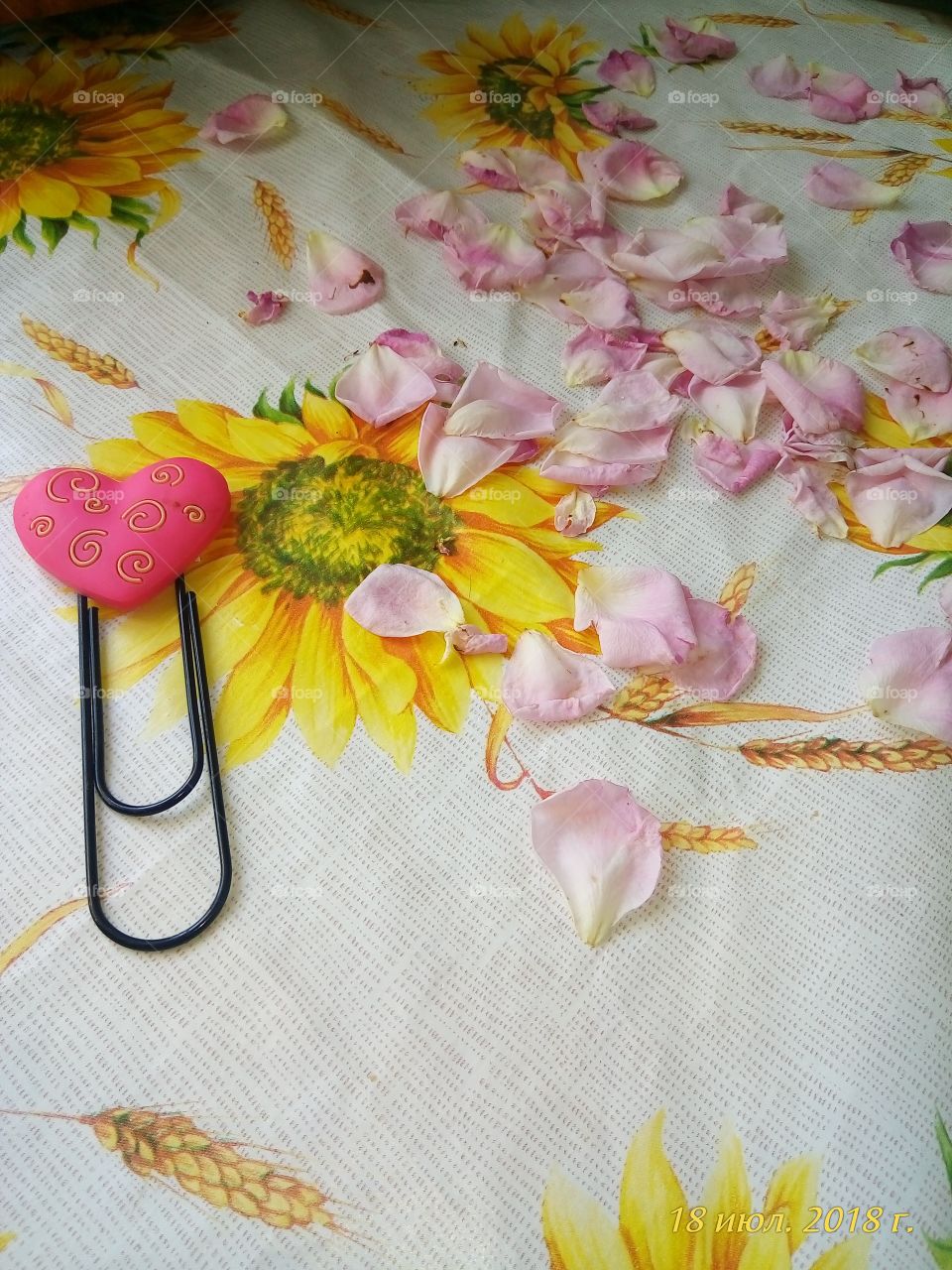 любовь.сердце.лепестки.8 марта.весна.счастье.семья.розовые.скрепка.подарок.