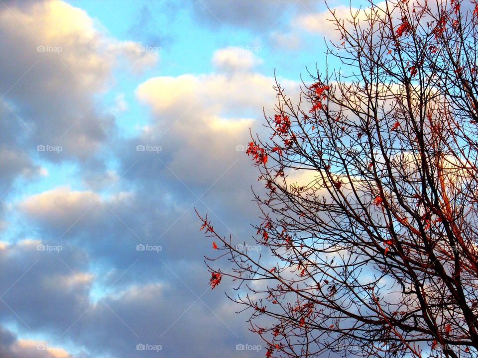 Spring is in the air