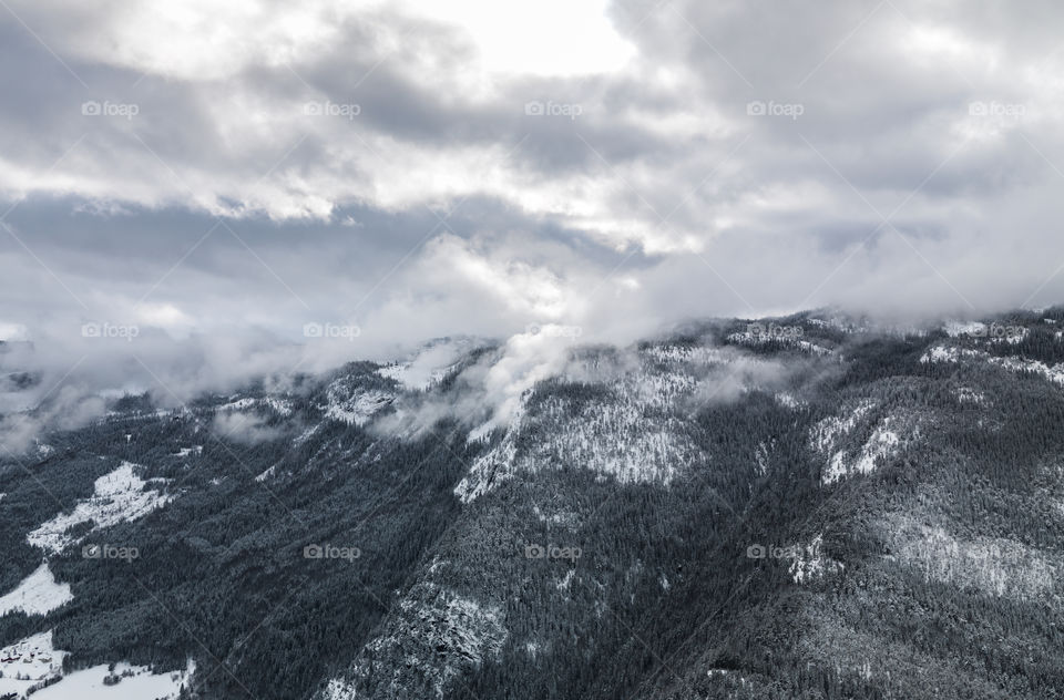 Winter Landscape