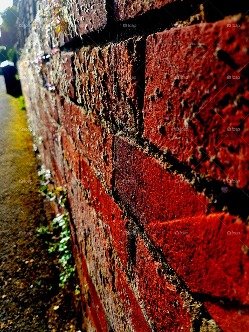 wall