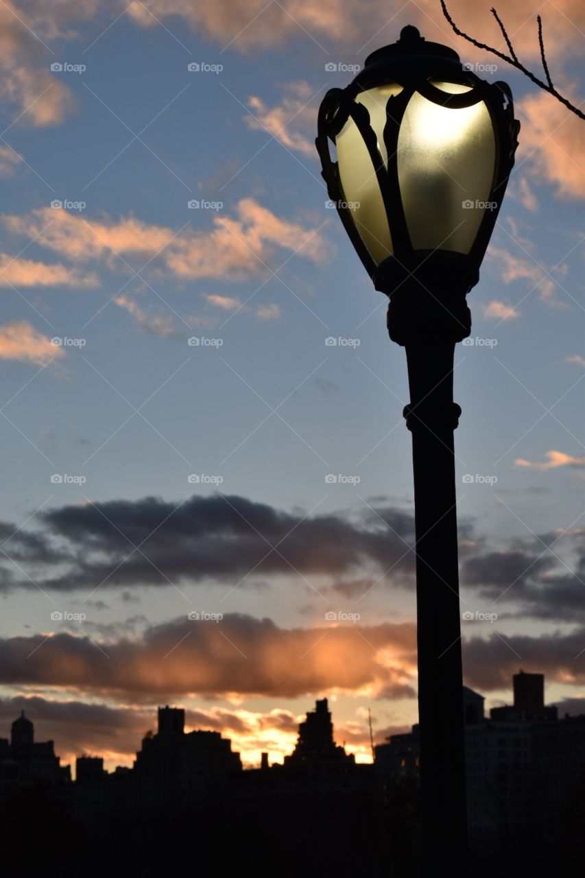 Central Park Streetlight