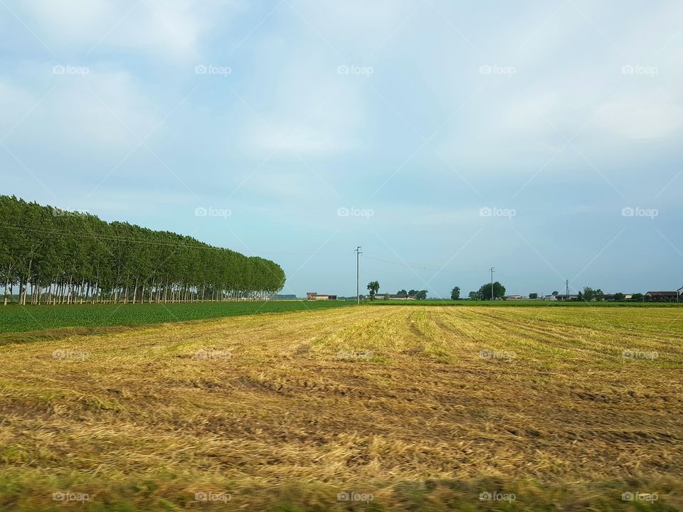 Cultivated fields in italian countryside