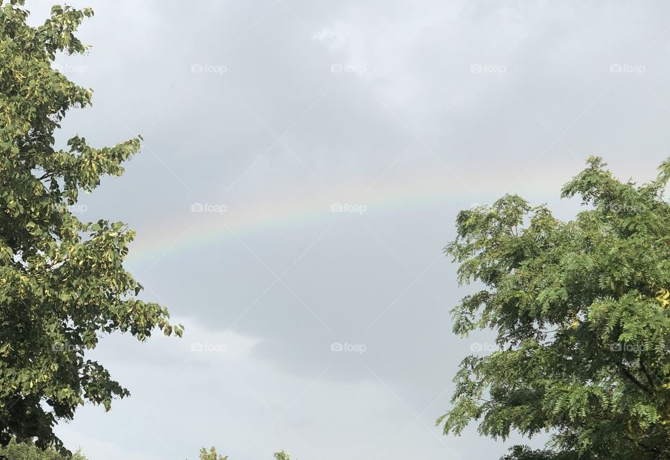 A Rainbow