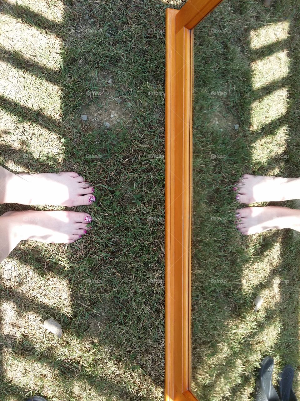 Reflections of Fading Summer