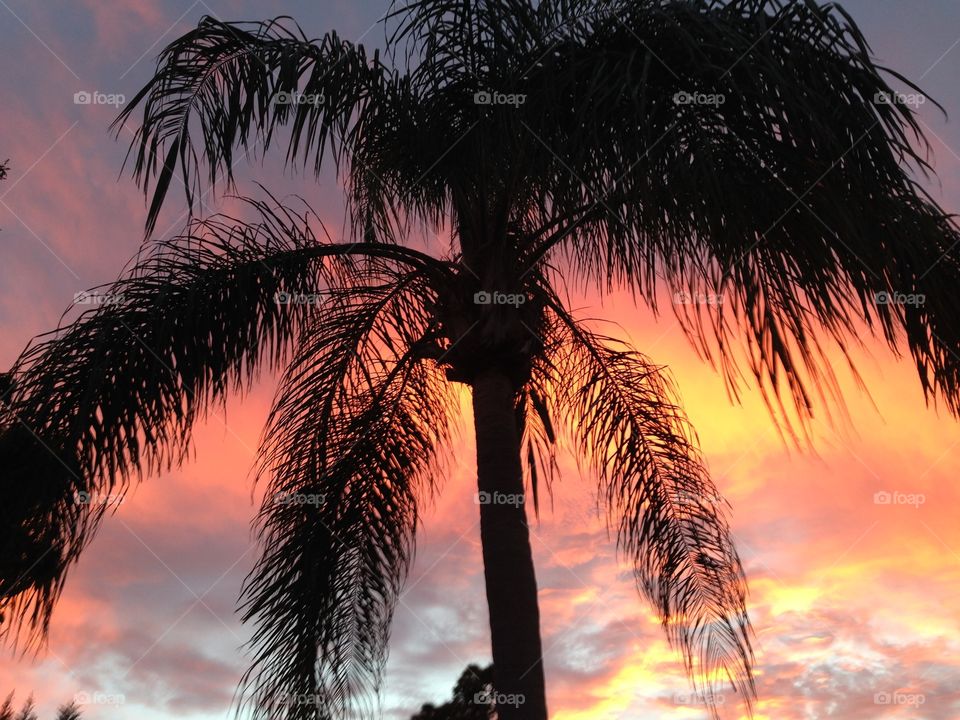 Sunset in Boynton Beach, FL 3