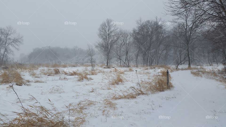 a prairie and path covered in snow