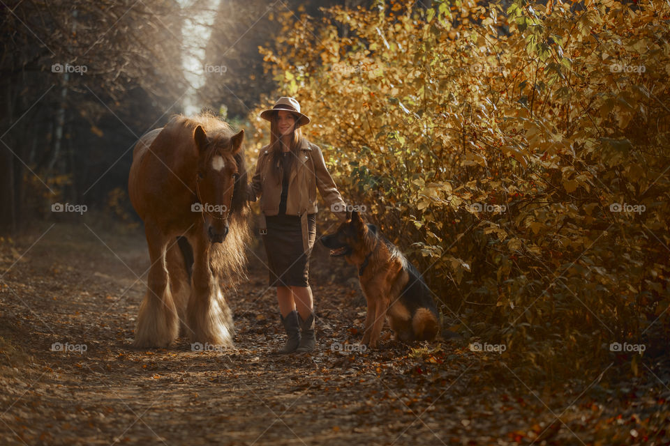 Portrait of young woman  with tinker horse and German shepherd dog 