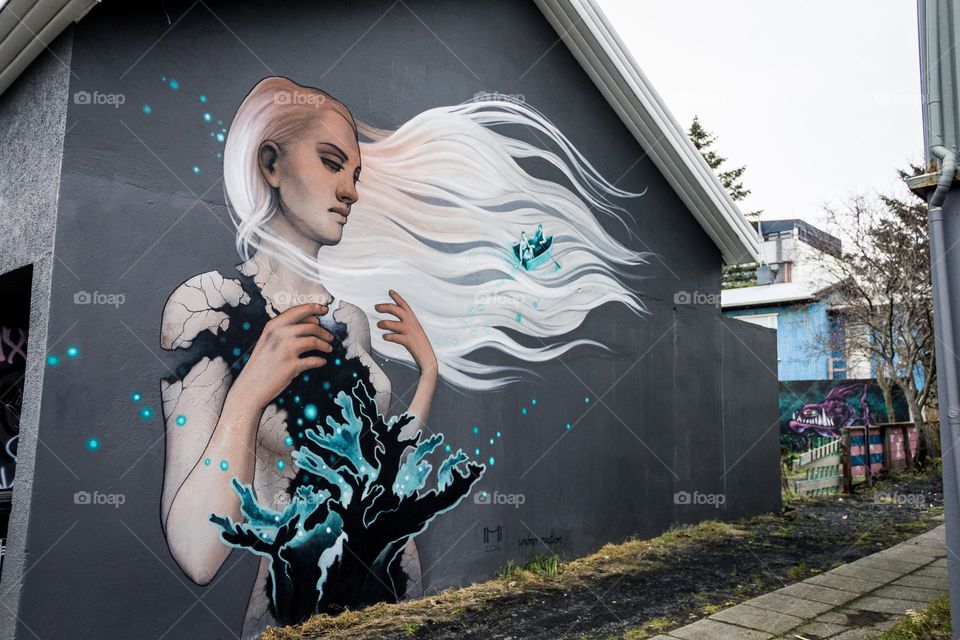 Reykjavik Street Art