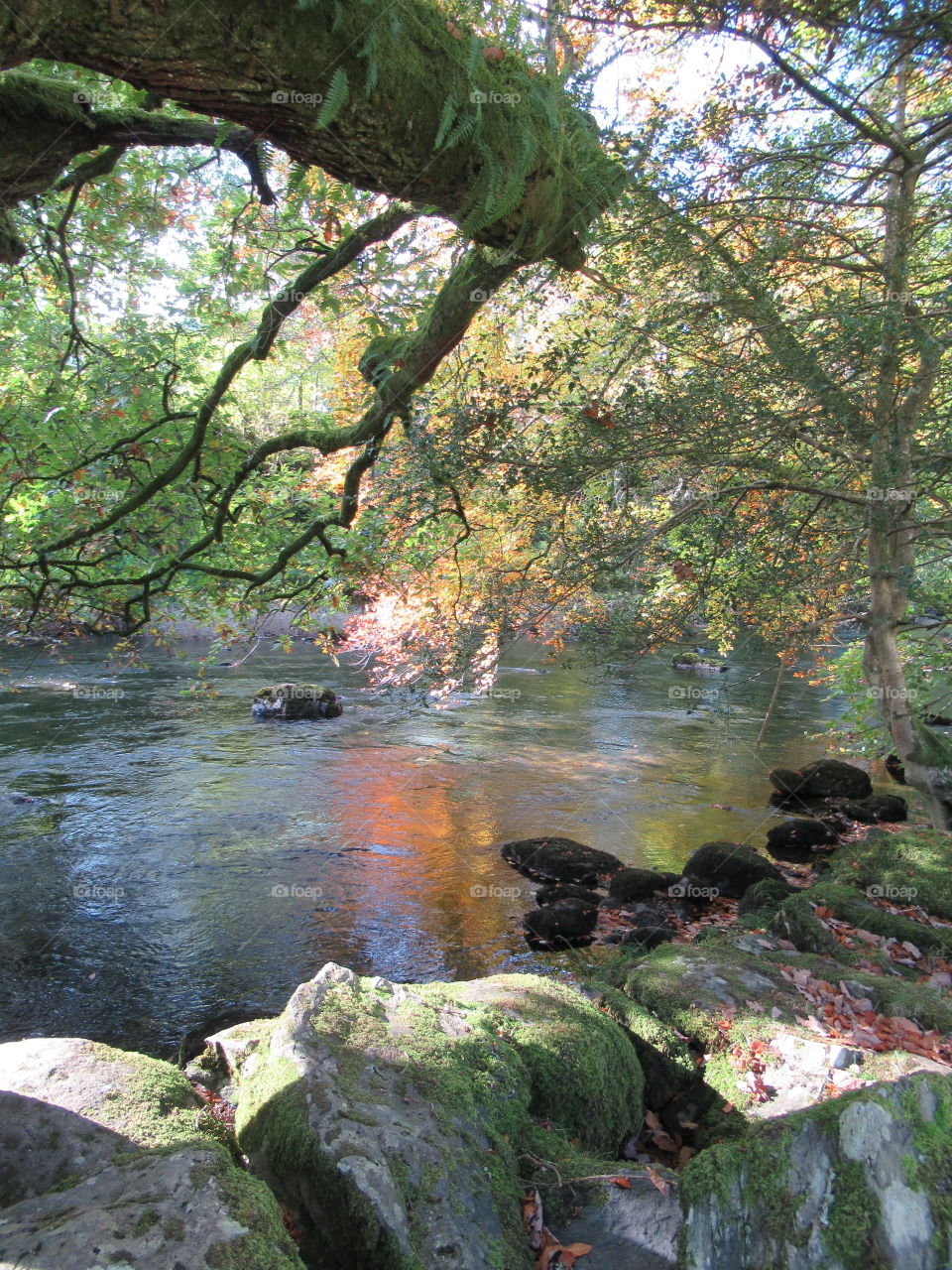 Betws-y-coed the fairy glen. Sunlight shimmering through autumn trees and on the river