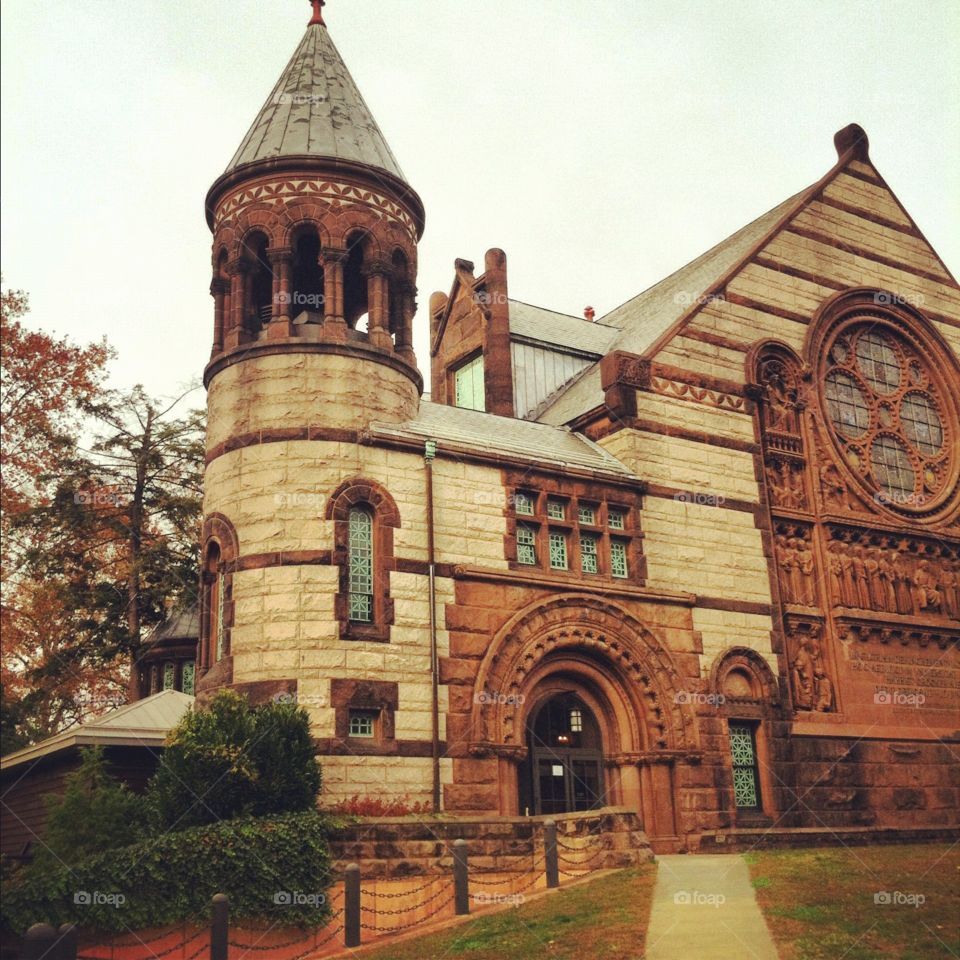 Princeton university 