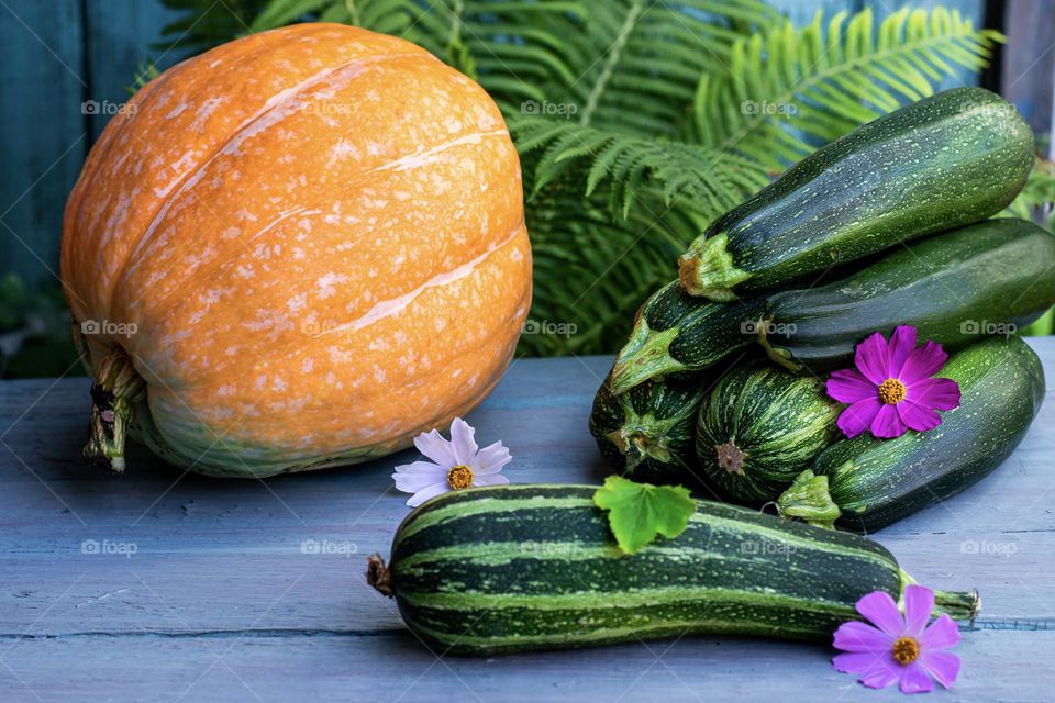 Autumn harvest of pumpkins and zucchini in the garden, season