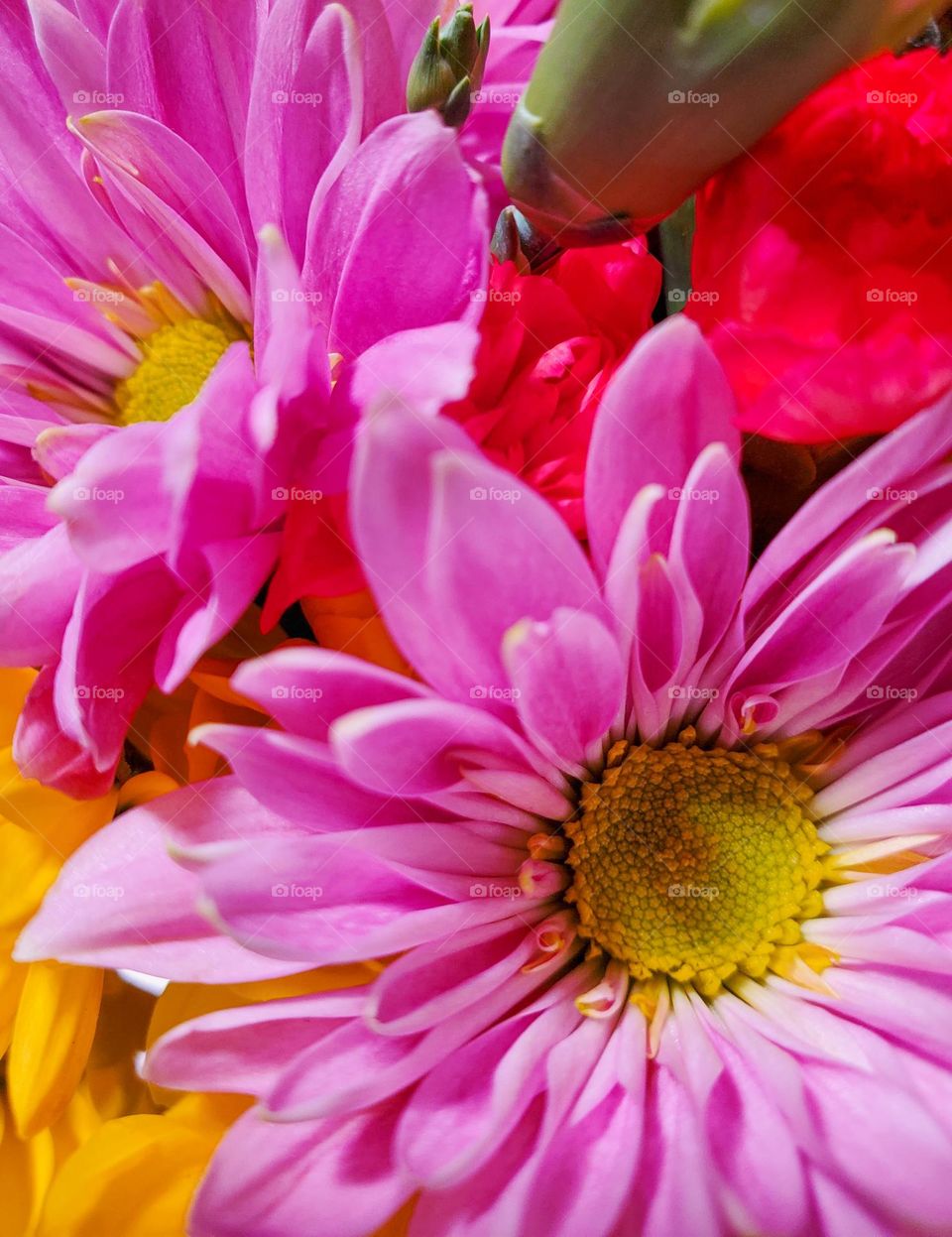 Closeup view of a pretty floral arrangement with a multitude of colors