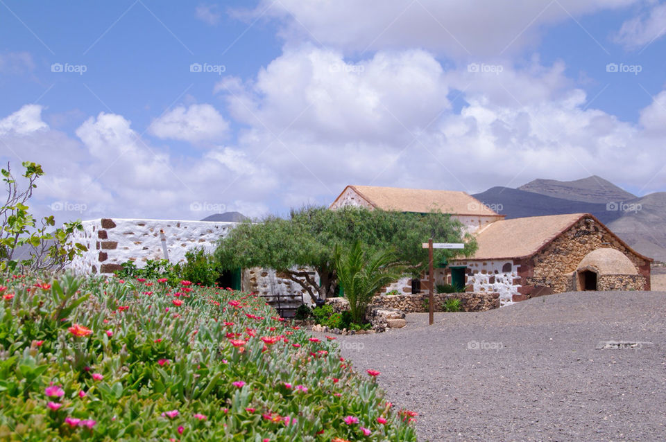 house old fuerteventura farm by seeker