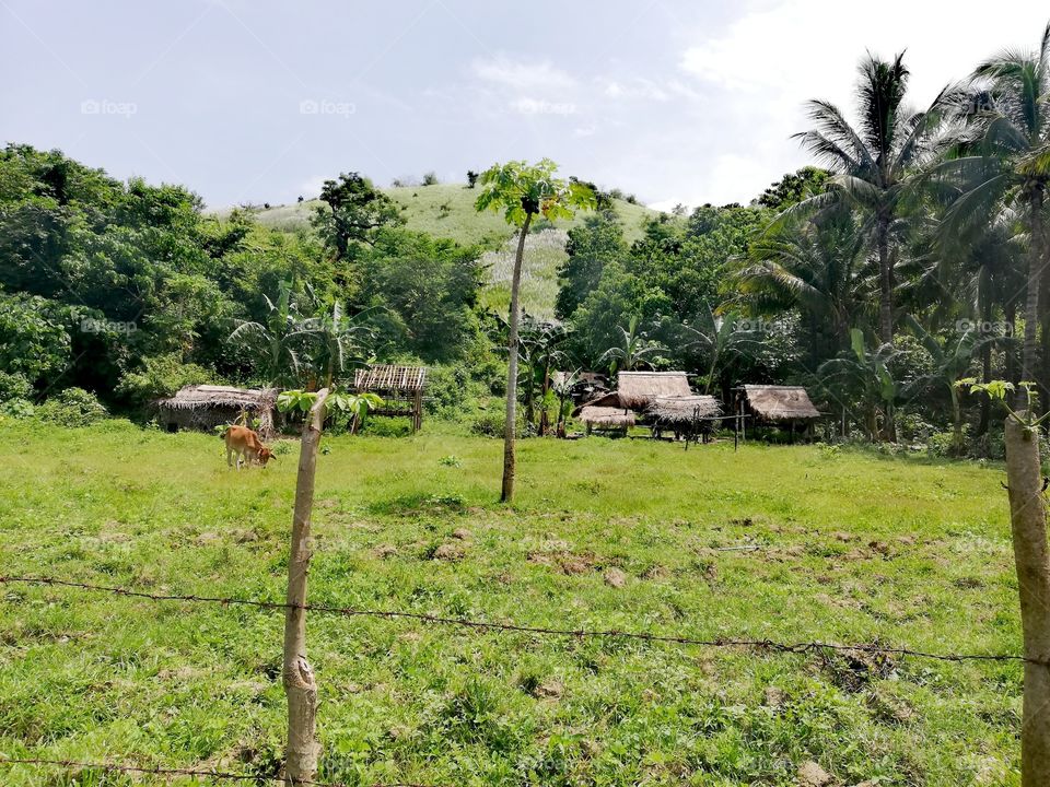 Small village of indegenous people - the Mangyan tribe - in Abra De Ilog, Mindoro, Island of Philippines