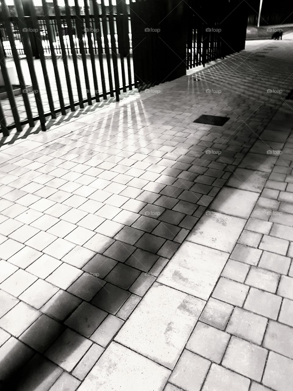 Shadows in the ground