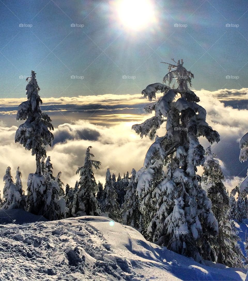 A snowshoe Hike to enjoy the views and warmth above the city fog.