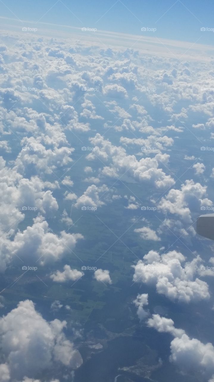 cotton fields in the sky