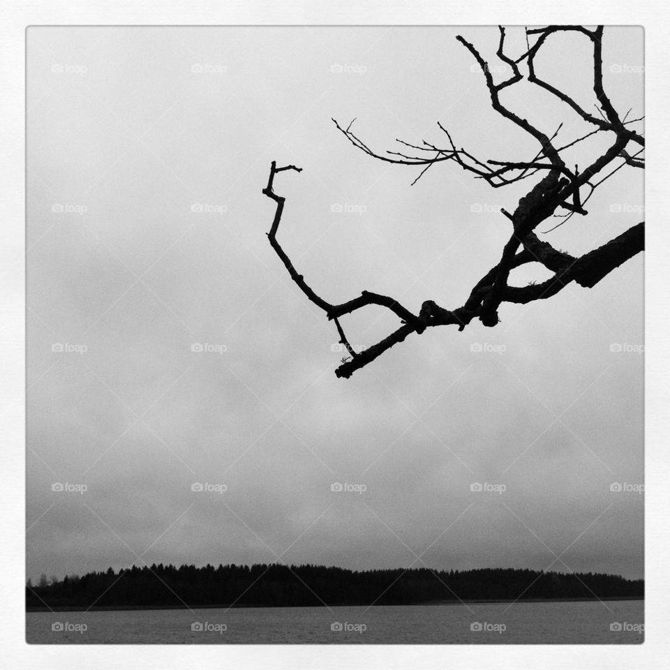 uppsala sky tree lake by L8Eriksson