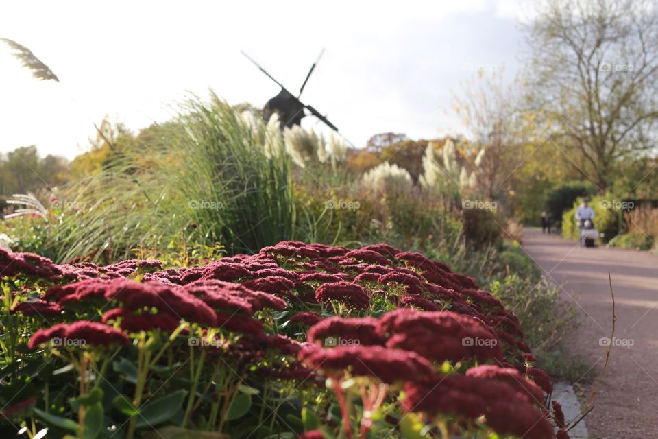 At the city garden by the windmill 