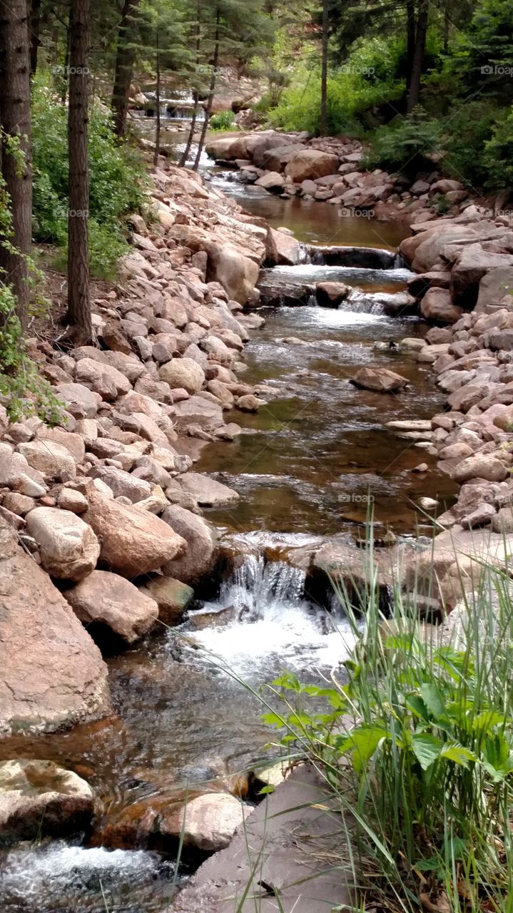 Water, Stream, Nature, No Person, Rock