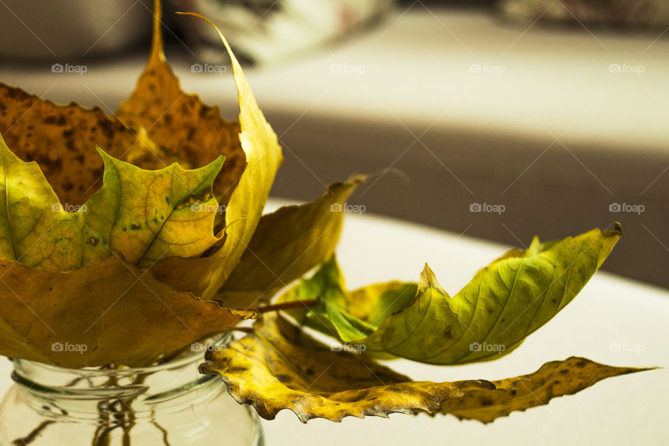 Close-up of a bouquet of dry autumn leaves in a transparent glass vase