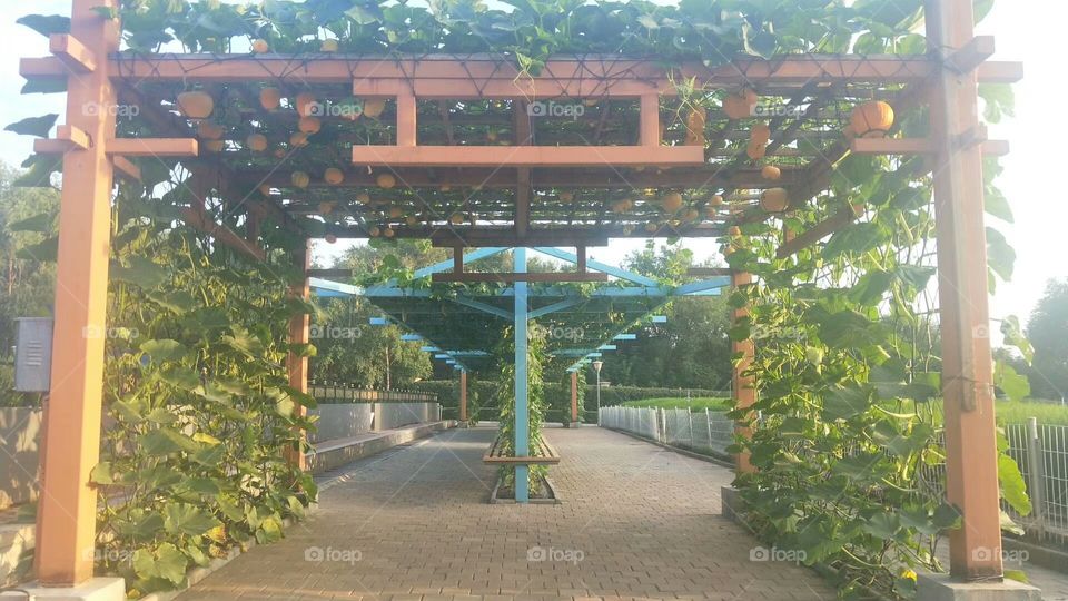 architectural design