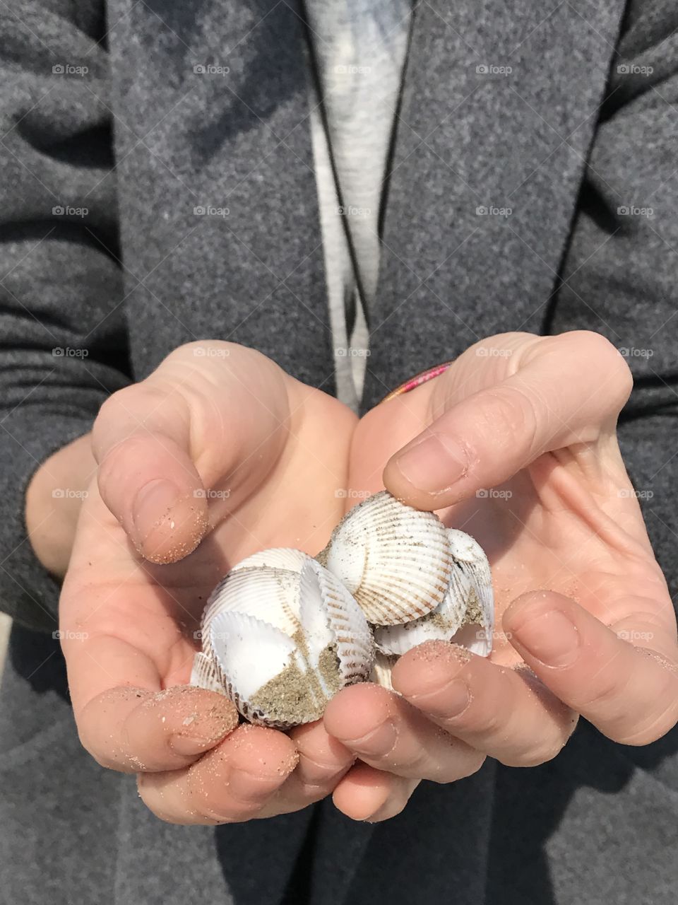 Shells