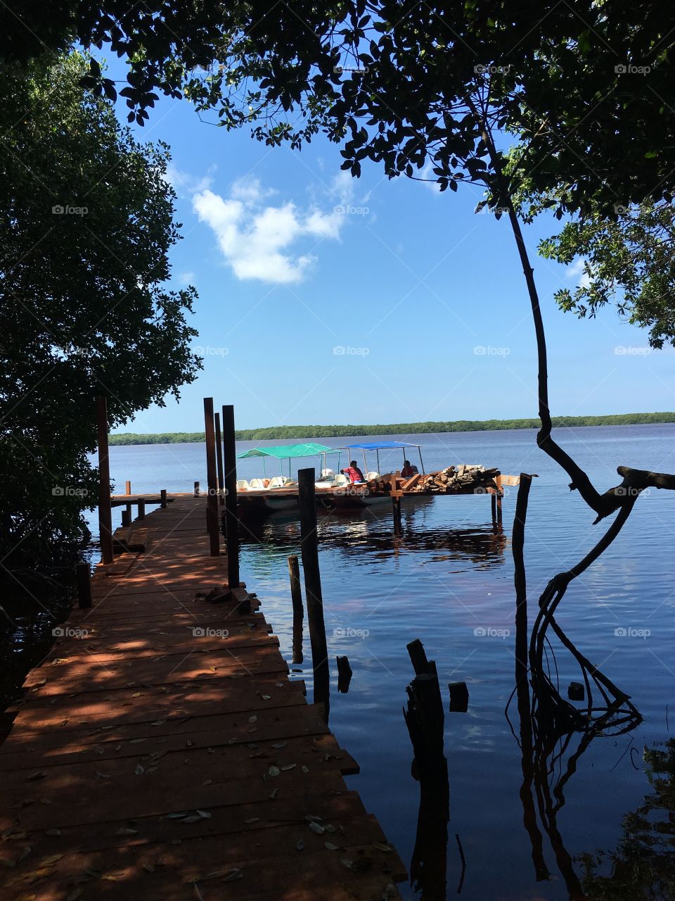 Merida, Yucatan. Boat ride to see flamingoes 