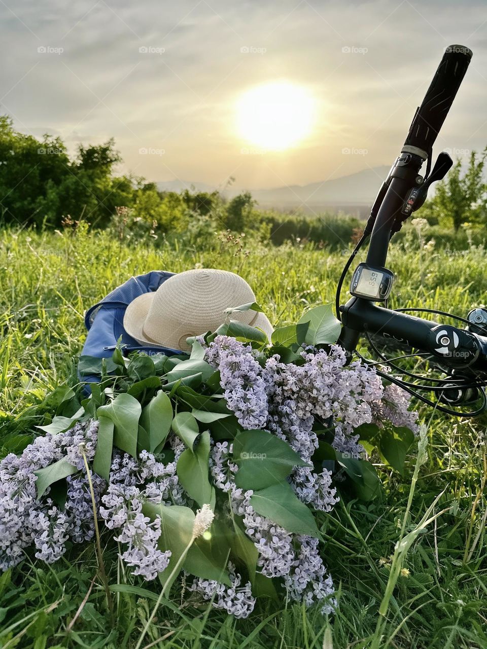 lilac and hat near the bike