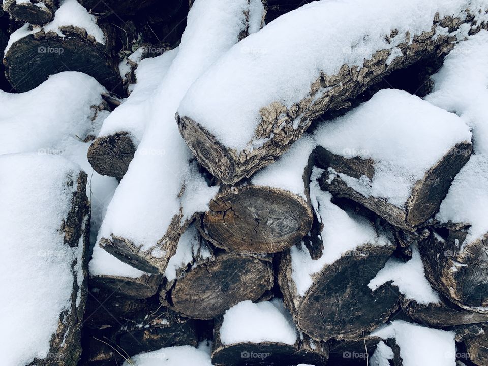 Snow-covered logs