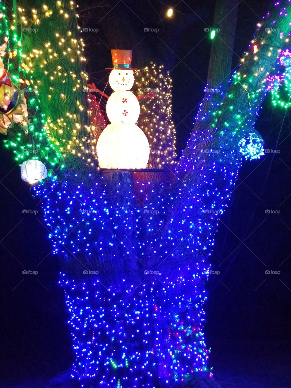 Christmas Lights on tree