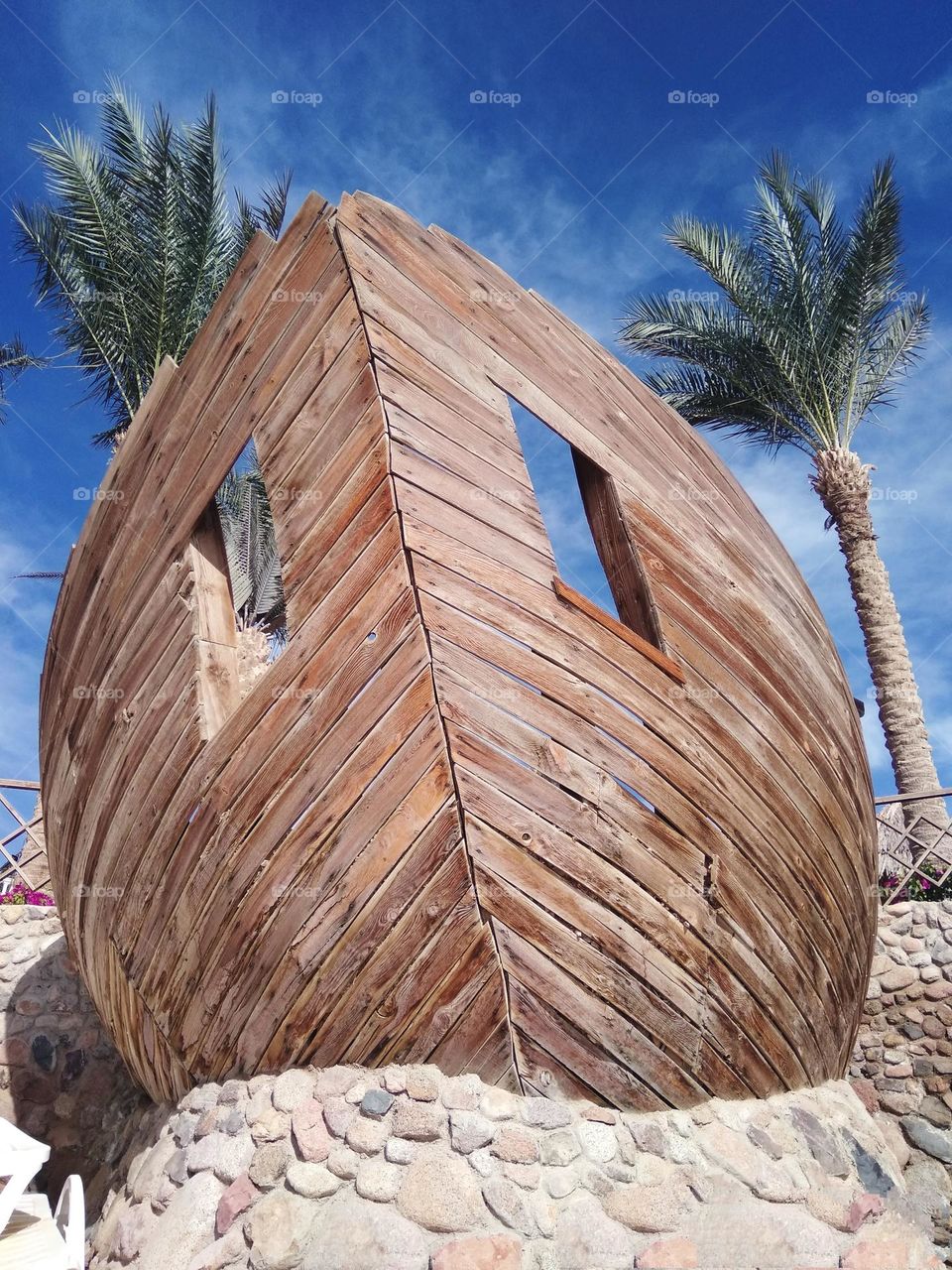 editors Choice photo on the week