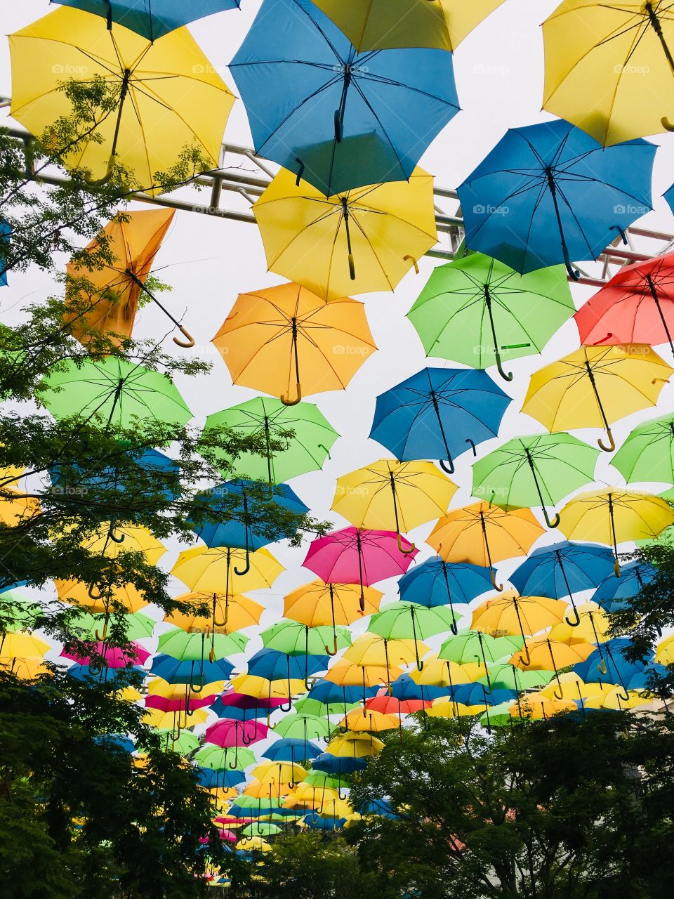 Umbrella Art Installation 