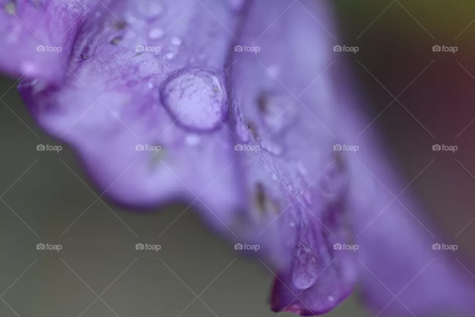 drop