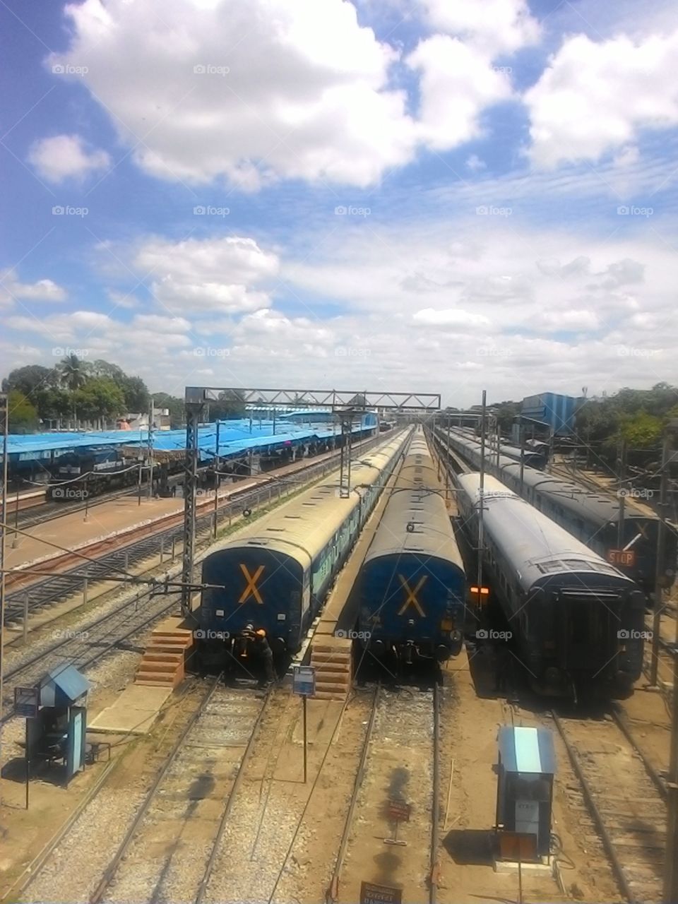 Trains in the yard