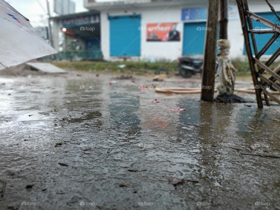 editor's choice: photo of the week