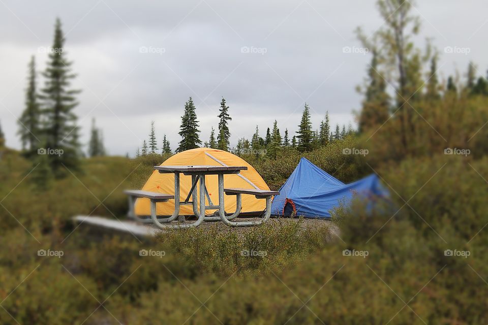 Camping In Denali National Park Alaska