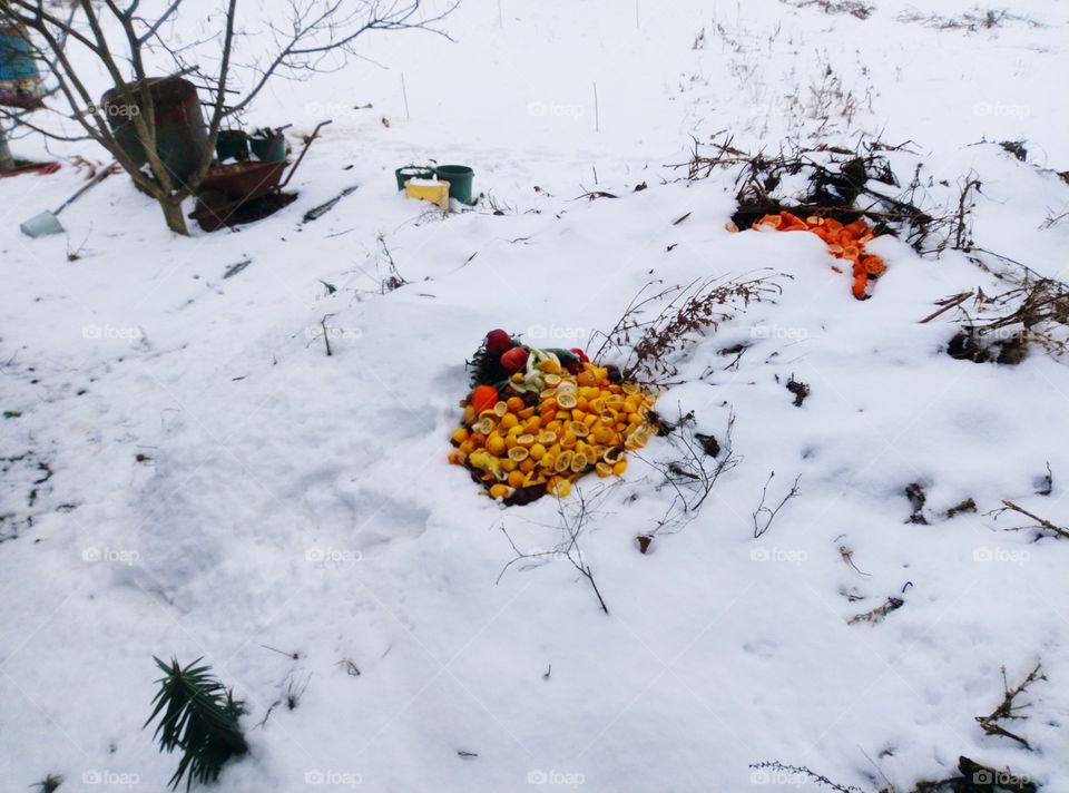Frutta e verdura nella neve