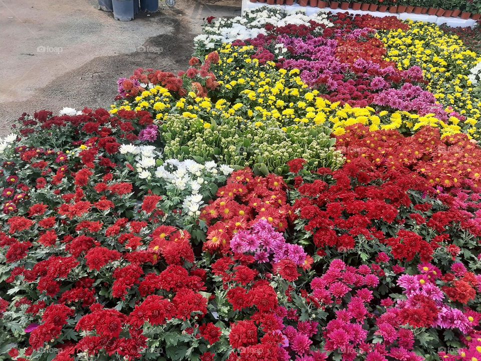 Please make me happy, I am poor, I need your help with support