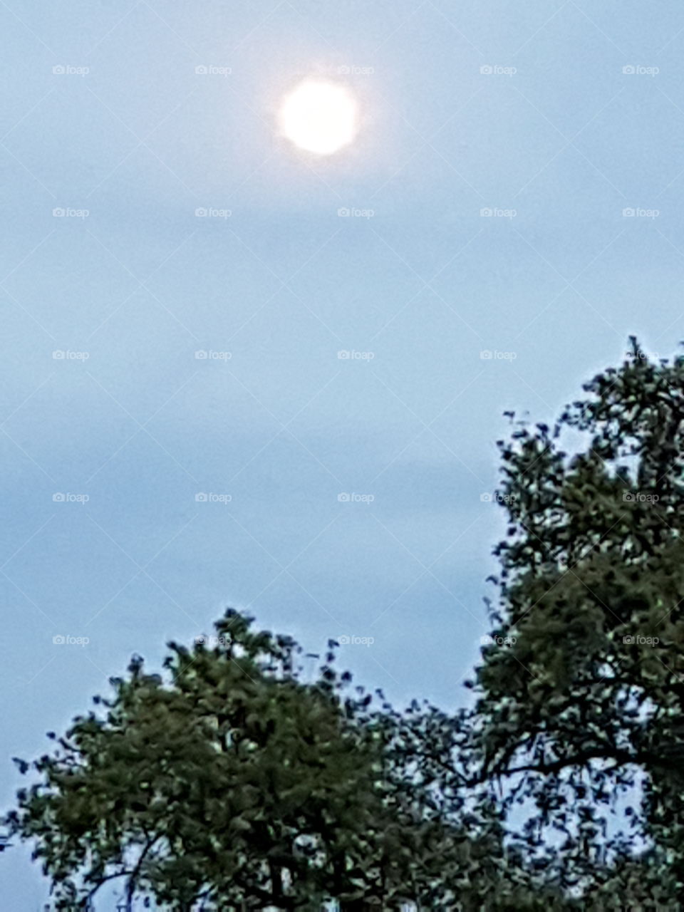 beginnender Vollmond am abendhimmel