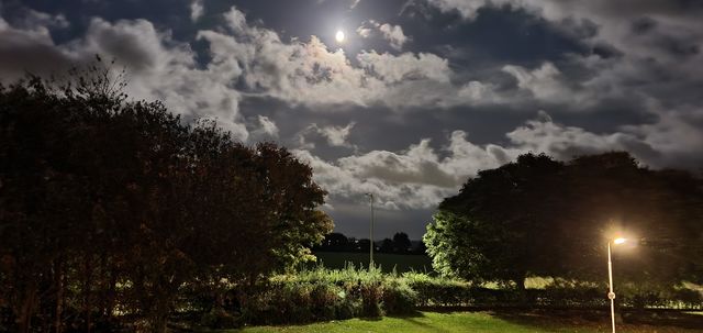 Night