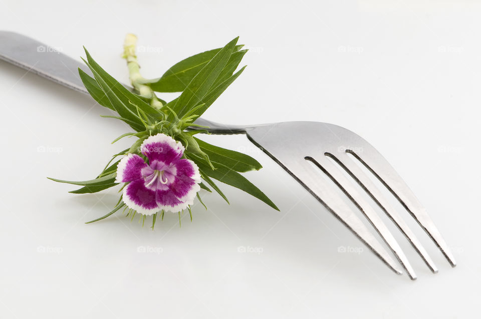 Fork on White background decorated With flowers