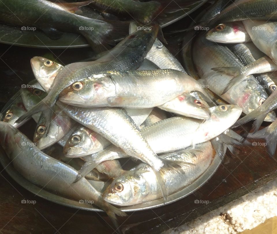 fish market in Kerala